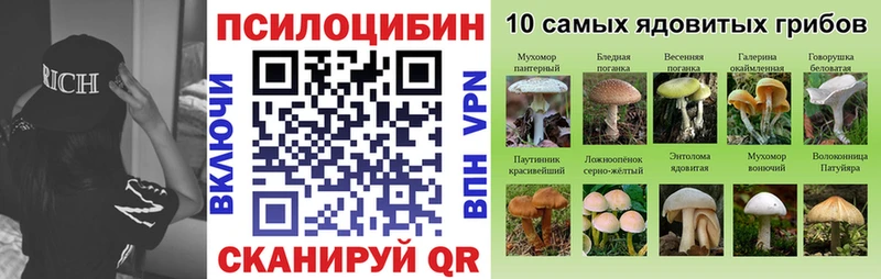 Галлюциногенные грибы GOLDEN TEACHER  ссылка на мегу зеркало  Кушва 