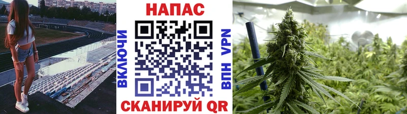 Канабис Amnesia  hydra как зайти  сайты даркнета формула  Кушва 